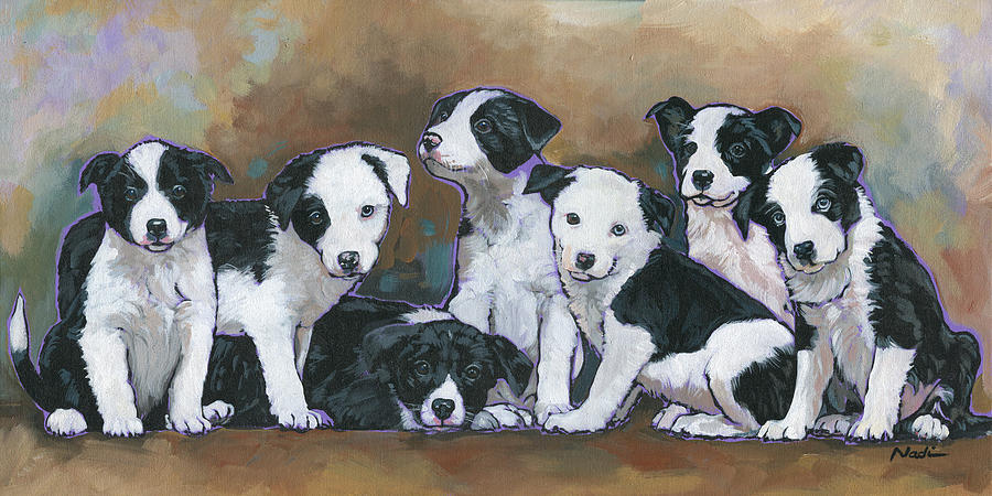 Border Collie Puppies Painting by Nadi Spencer