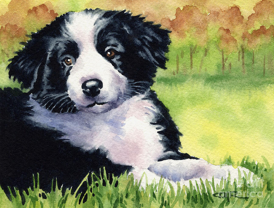Tree Painting - Border Collie Puppy by David Rogers