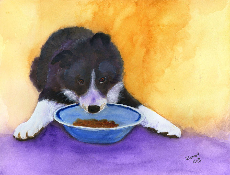 Border Collie Puppy Painting by Mary Jo Zorad