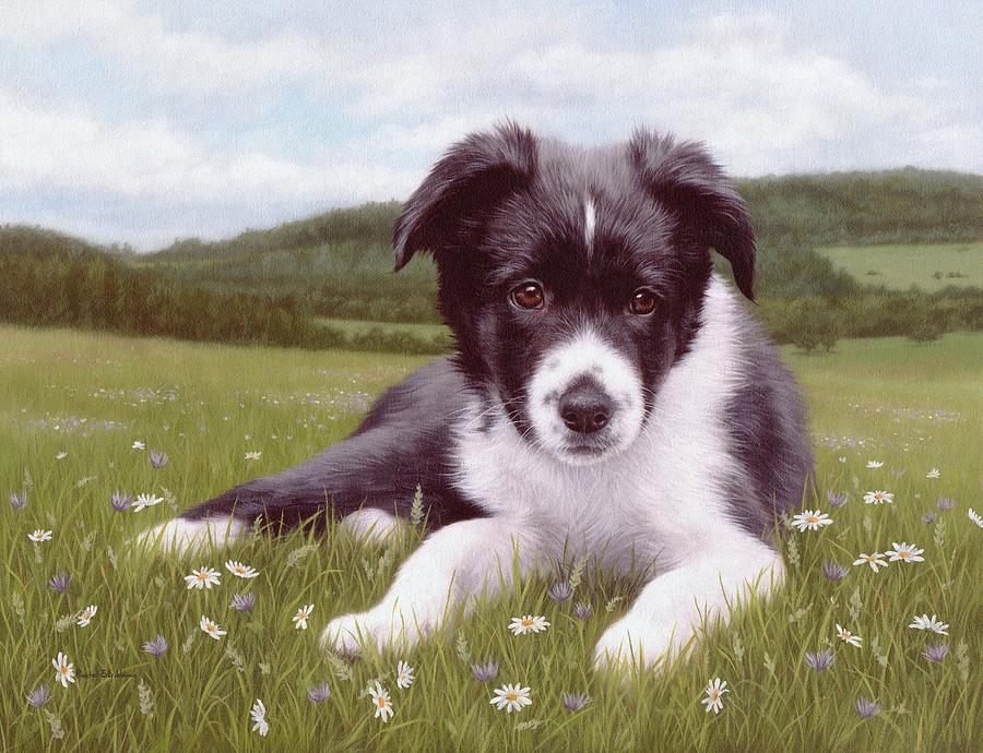 Border Collie Puppy Painting Painting by Rachel Stribbling