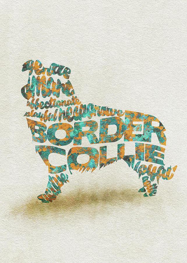 Border Collie Watercolor Painting / Typographic Art Painting by Inspirowl Design