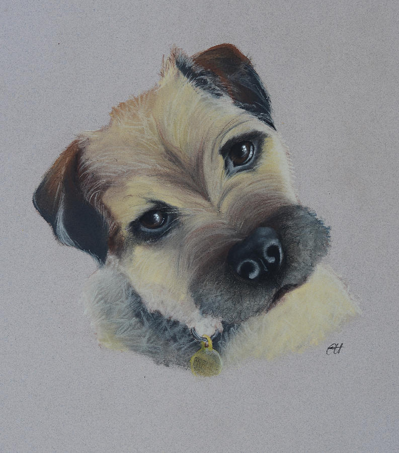 Dog Painting - Border Terrier by Catt Kyriacou