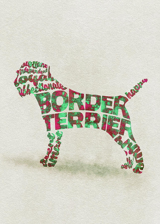 Border Terrier Dog Watercolor Painting / Typographic Art Painting by Inspirowl Design