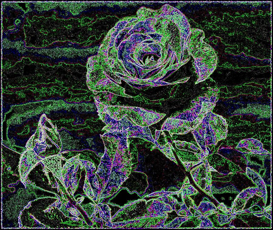 Bordered Abstract Rose Digital Art by Will Borden