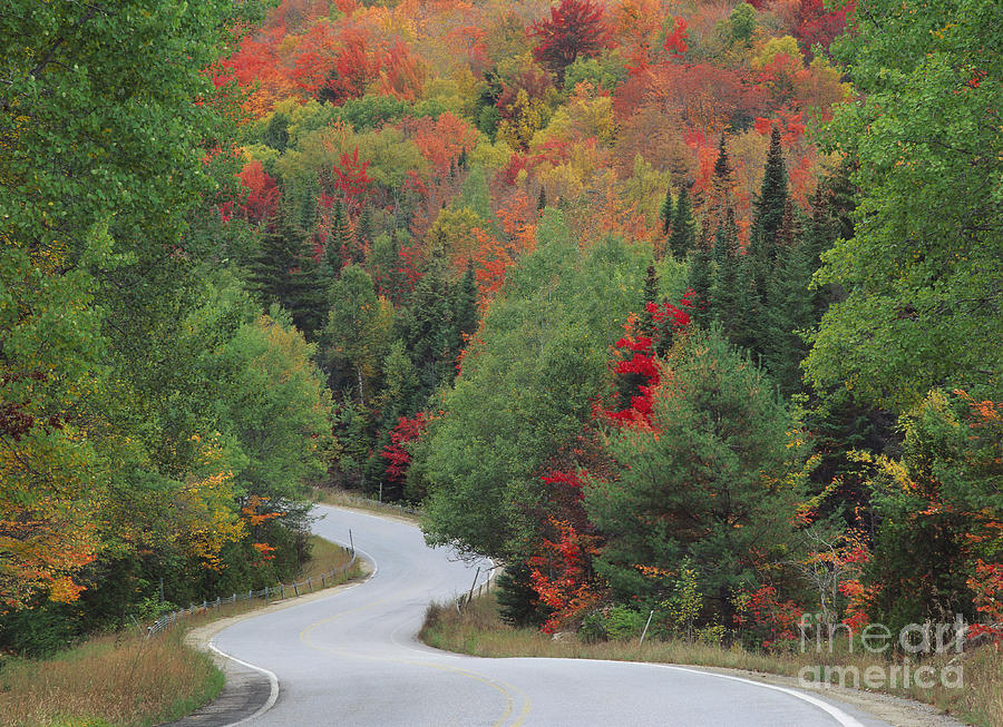 Boreas Road, Adirondack Mountains Photograph by Michael P. Gadomski Boreas Road, Adirondack Mountains Photograph by Michael P. Gadomski