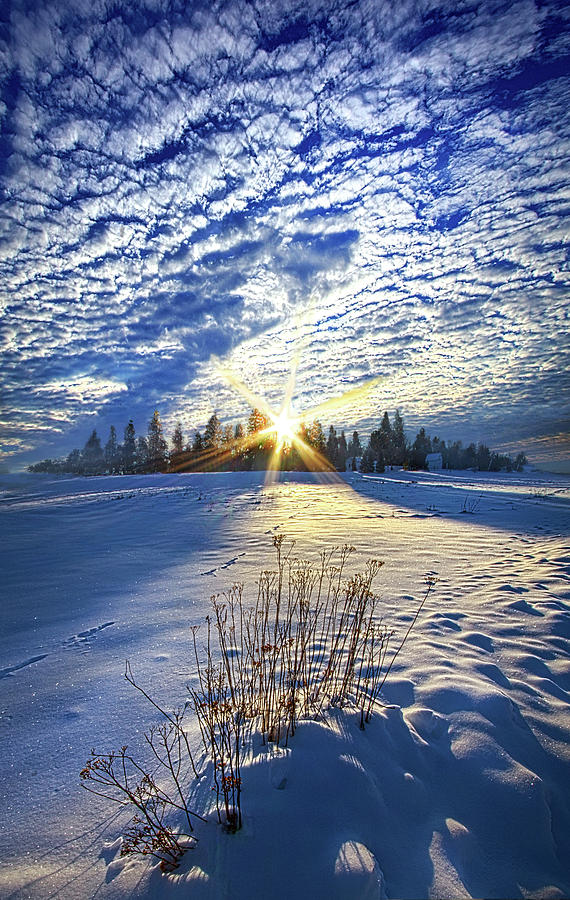 Born As We Are Photograph by Phil Koch