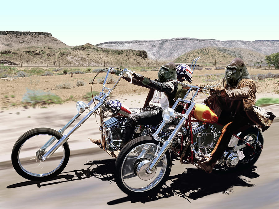 Born to be Wild by Nigel Follett Born to be Wild by Nigel Follett