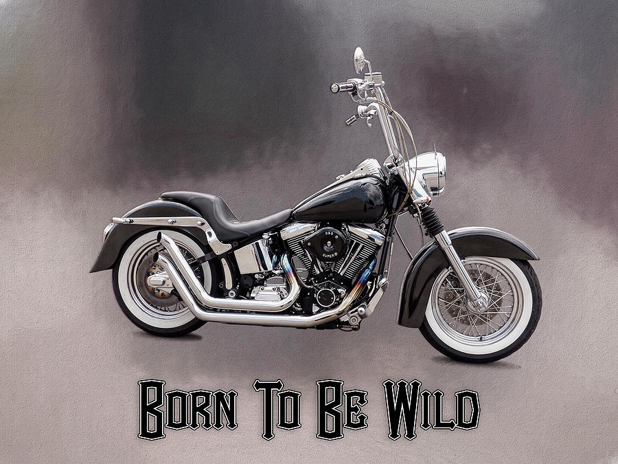 Born To Be Wild  Written Photograph by Leslie Montgomery