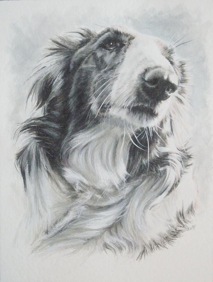 Borzoi in Watercolor Painting by Barbara Keith