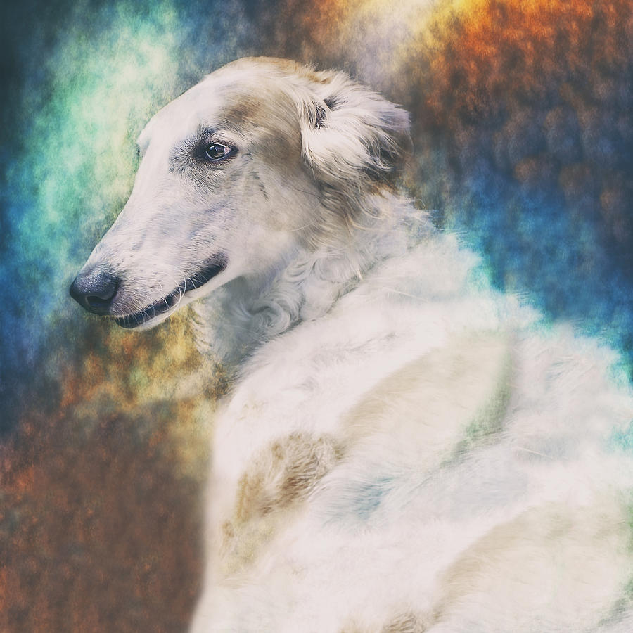 Borzoi Portrait Photograph by Wolf Shadow Photography