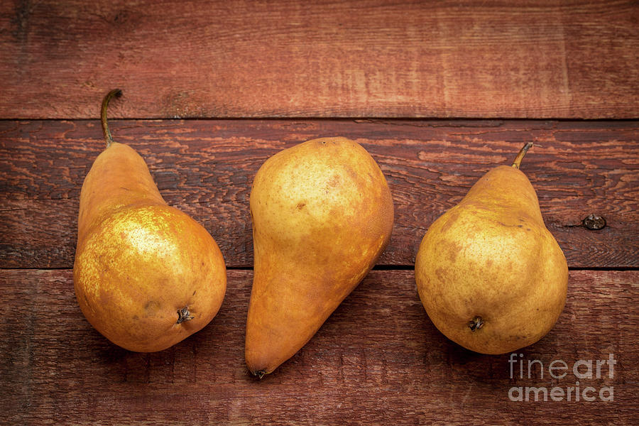 Bosc Pears On Rustic Wood Photograph by Marek Uliasz