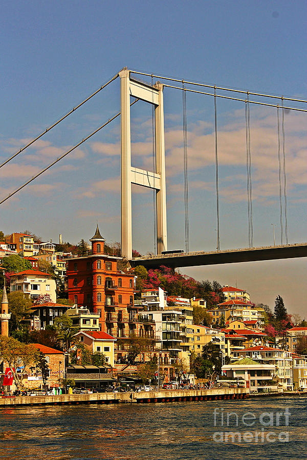 Bosphorus Photograph by Binka Kirova