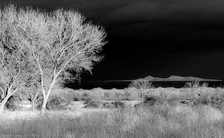 Bosque del Apache - Infrared Photograph by Britt Runyon