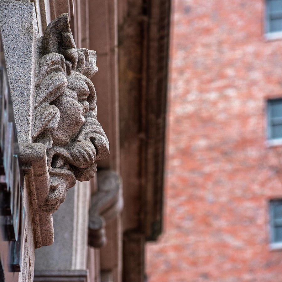 Boston Architectural Detail Boston MA Lion in Stone Photograph by Toby McGuire
