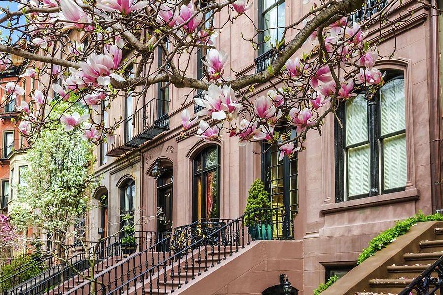 Boston Brownstones Photograph by Larry Richardson - Pixels