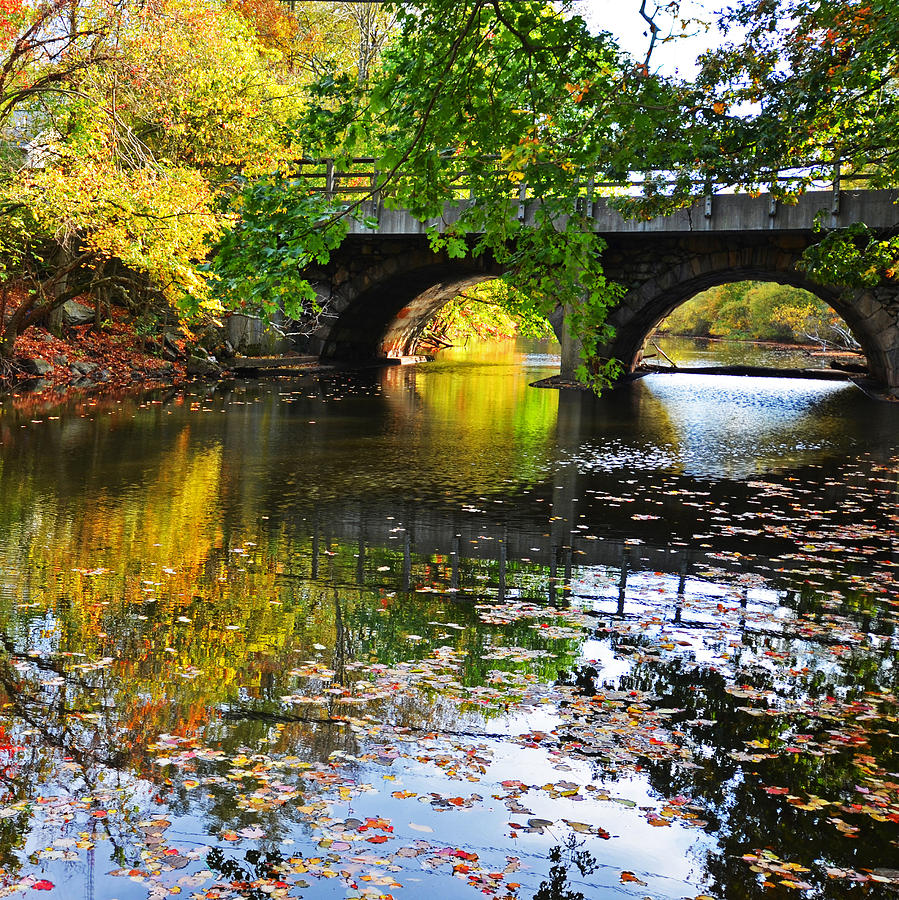 Boston Charles River Four Seasons Fall Newton Upper Falls Photograph by Toby McGuire