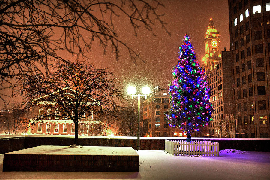 Boston City Hall Christmas Tree Snow Storm Boston MA Photograph by Toby McGuire