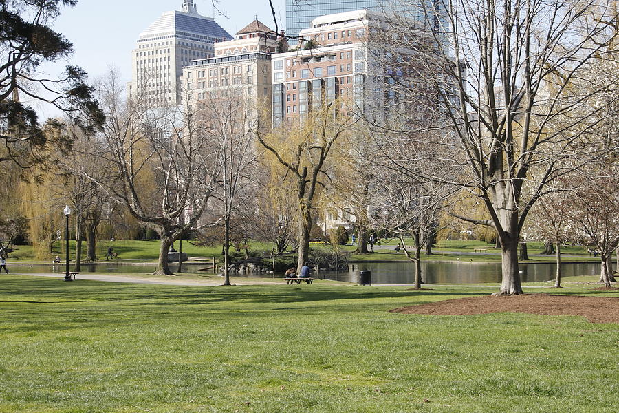 Boston Common City Park Photograph by Valerie Collins