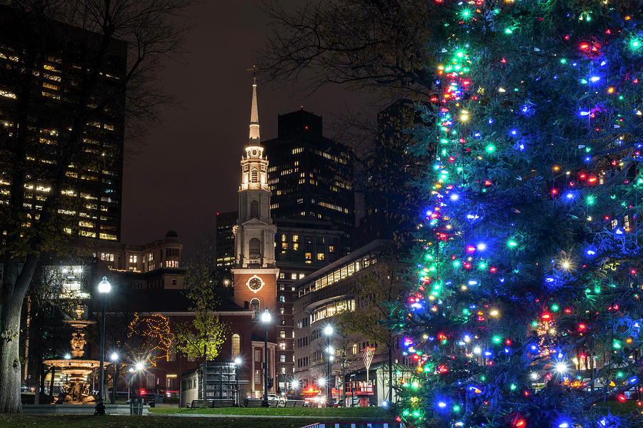 Boston Common Christmas Tree Photograph by Toby McGuire Pixels