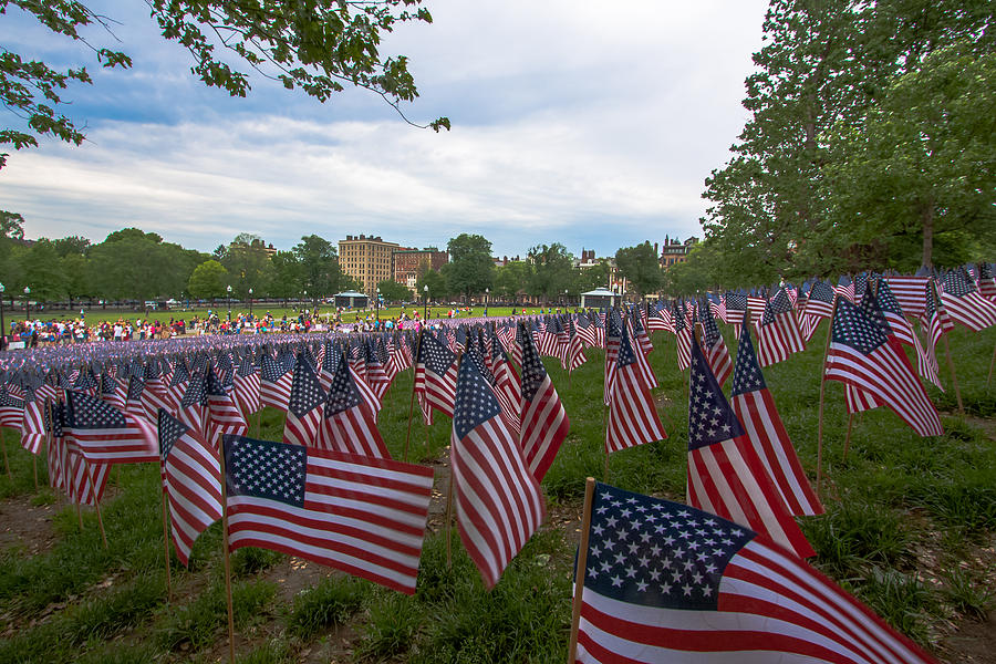 Boston Common Flags Photograph by Brian MacLean
