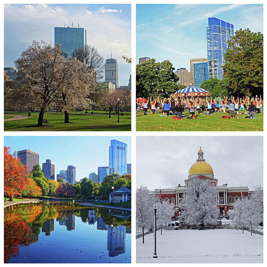 Boston Common Four Seasons Boston MA Photograph by Toby McGuire
