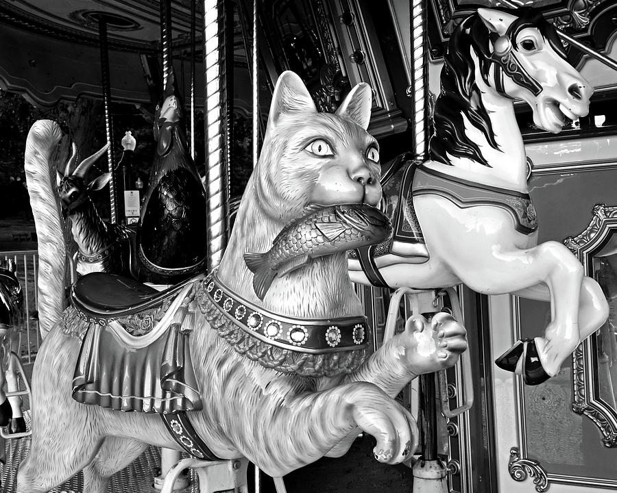 Boston Common Merry go Round Cat Boston MA Black and White Photograph by Toby McGuire