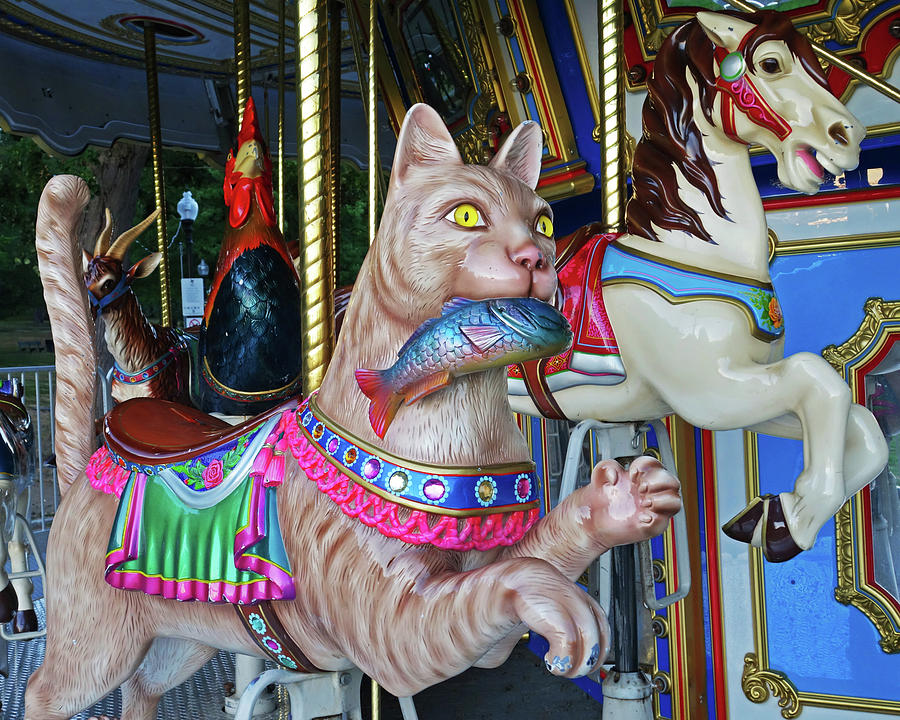 Boston Common Merry go Round Cat Boston MA Photograph by Toby McGuire