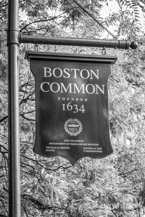 Boston Common Sign Black and White Photo Photograph by Paul Velgos