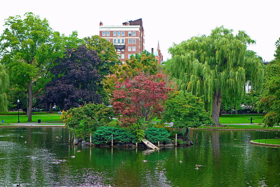 Boston Common Study 9 Photograph by Robert Meyers-Lussier
