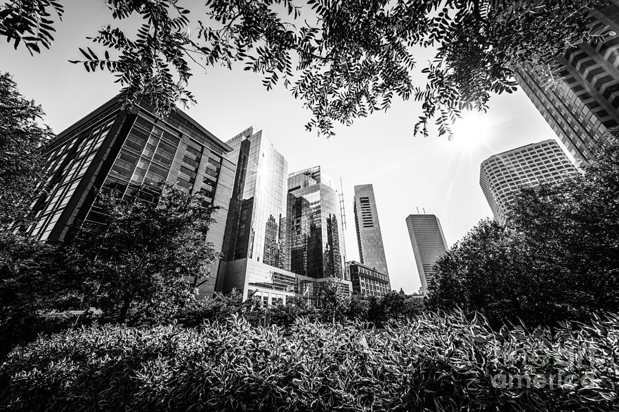 Boston Downtown City Buildings Through Trees Photograph