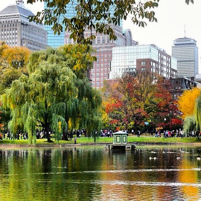 Boston Photograph - Boston in the Fall by Meaghan Dowdle