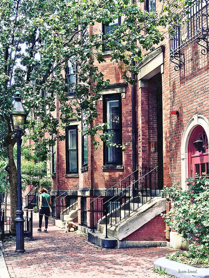 Boston MA - Walking the Dog on Mount Vernon Street Photograph by Susan Savad