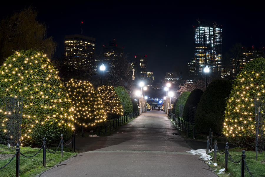 Boston Public Garden Bridge Christmas Lights Photograph by Toby McGuire