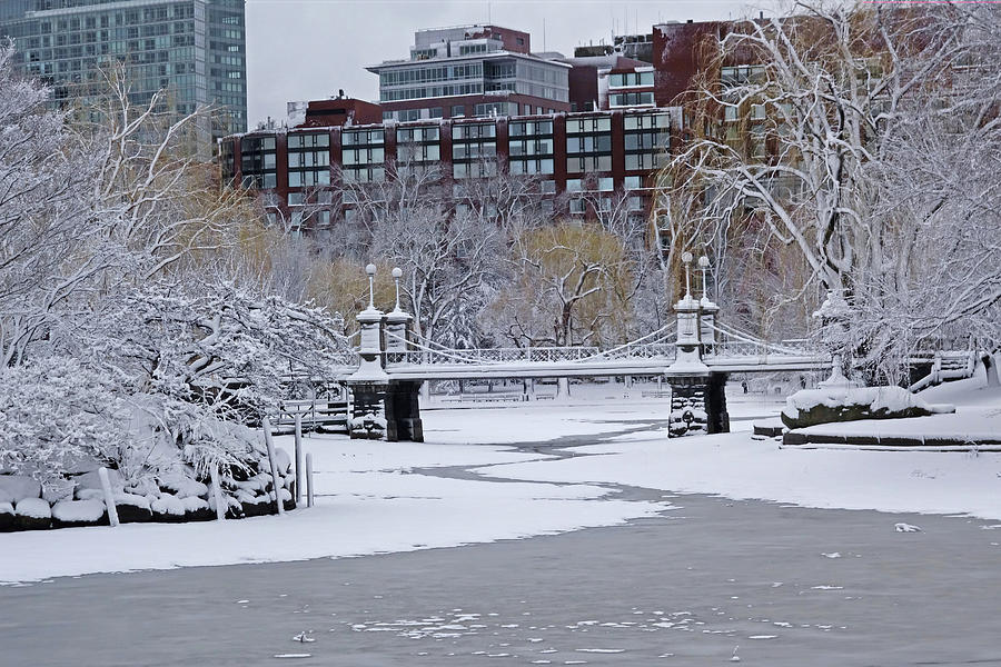 Boston Public Garden Bridge Covered in Snow Photograph by Toby McGuire