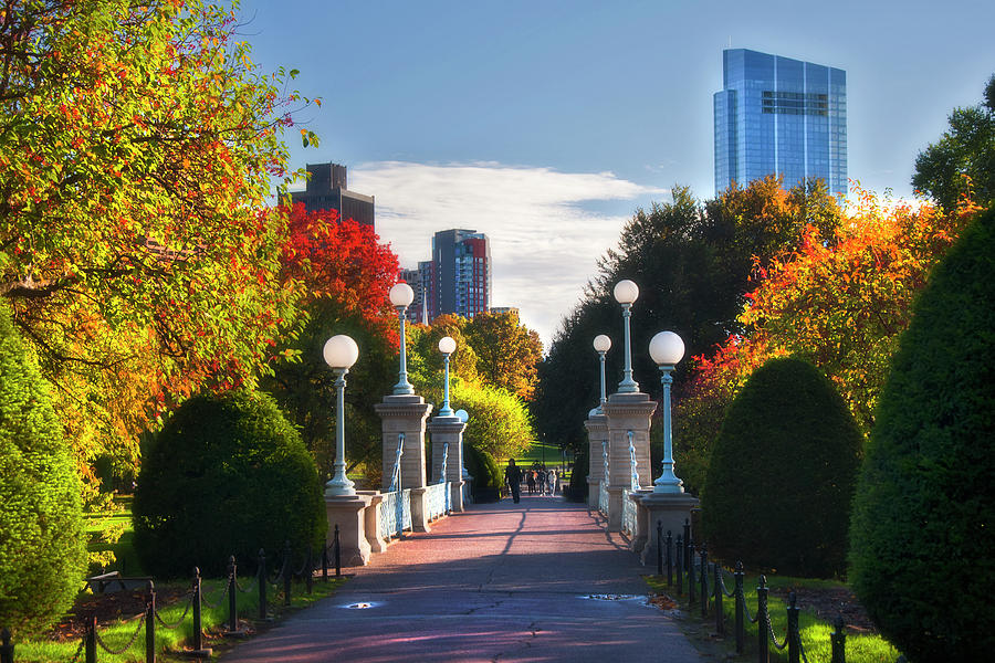 Boston Public Garden Lagoon Bridge in Autumn Photograph by Joann Vitali