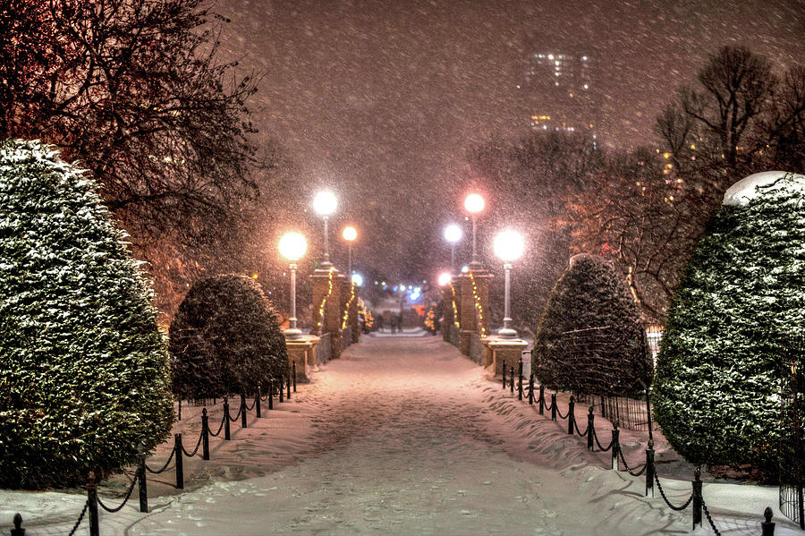 Boston Public Garden Snow Storm MA Massachusetts Bridge Lights Photograph by Toby McGuire