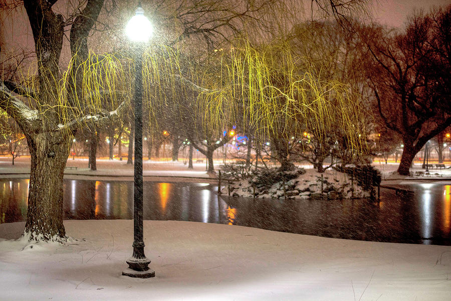 Boston Public Garden Snow Storm MA Massachusetts Lamp Photograph by Toby McGuire