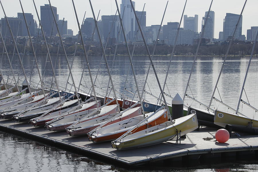Boston sailboats Photograph by Valerie Collins
