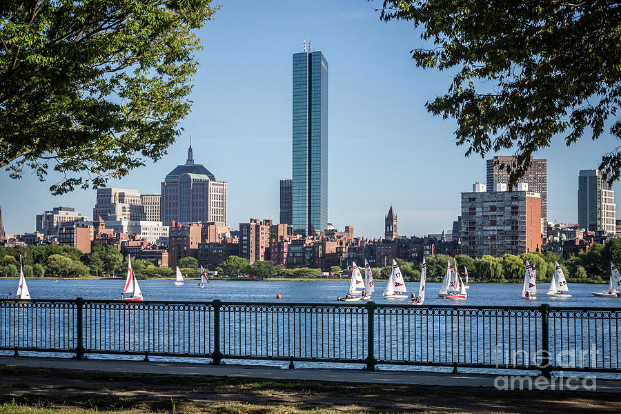 Boston Skyline Charles River Sailboats Photo Photograph by Paul Velgos