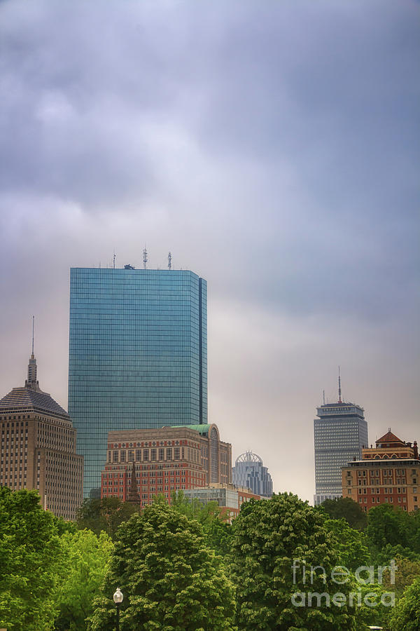 Boston Skyline from Public Garden Photograph by Elizabeth Dow