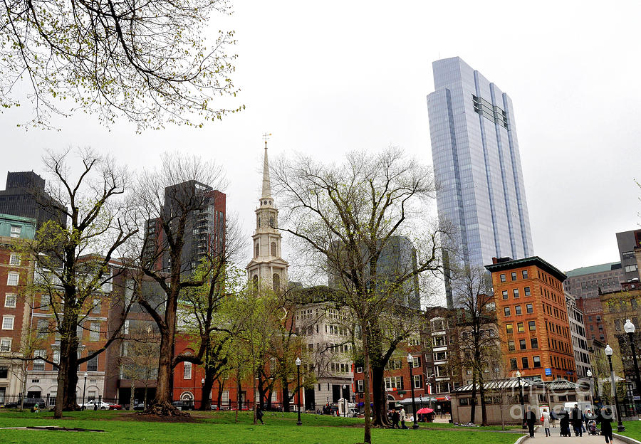 Boston Skyline from the Common by Staci Bigelow Boston Skyline from the Common by Staci Bigelow