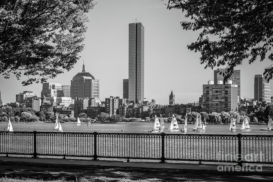 Boston Photograph - Boston Skyline Sailboats Black and White Photo by Paul Velgos