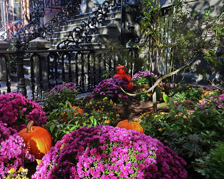 Boston South End Autumn Garden Boston MA Photograph by Toby McGuire