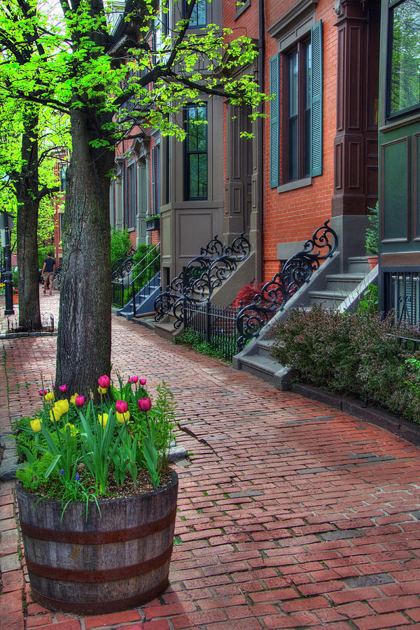 Boston South End Row Houses Photograph by Joann Vitali