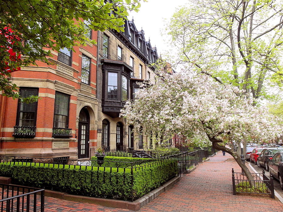 Boston Spring Photograph by Christopher Brown
