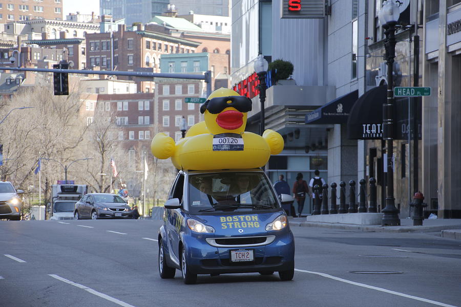 Boston Strong Duck  Photograph by Valerie Collins