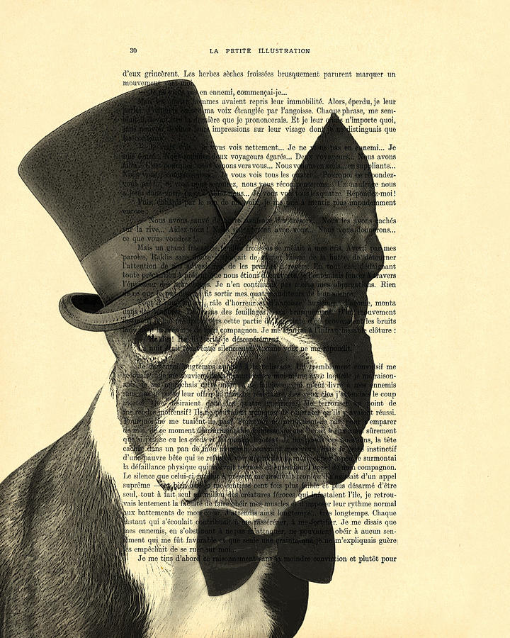 Boston Terrier Digital Art - Boston terrier, animals in clothes, portrait by Madame Memento