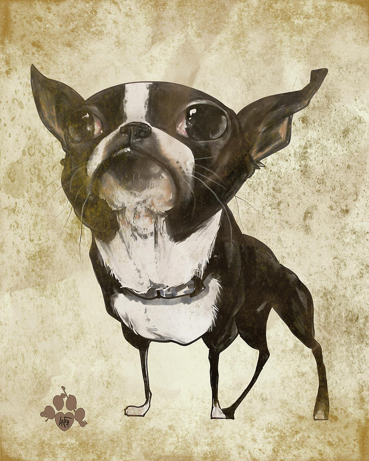 Boston Terrier - Antique Drawing by John LaFree