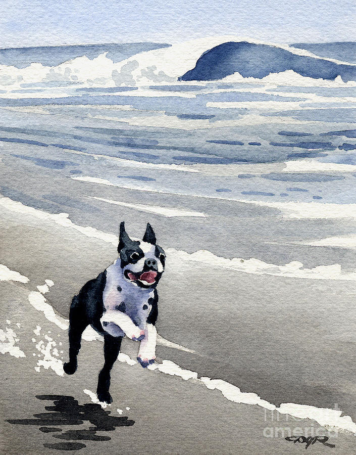 Boston Painting - Boston Terrier At The Beach by David Rogers