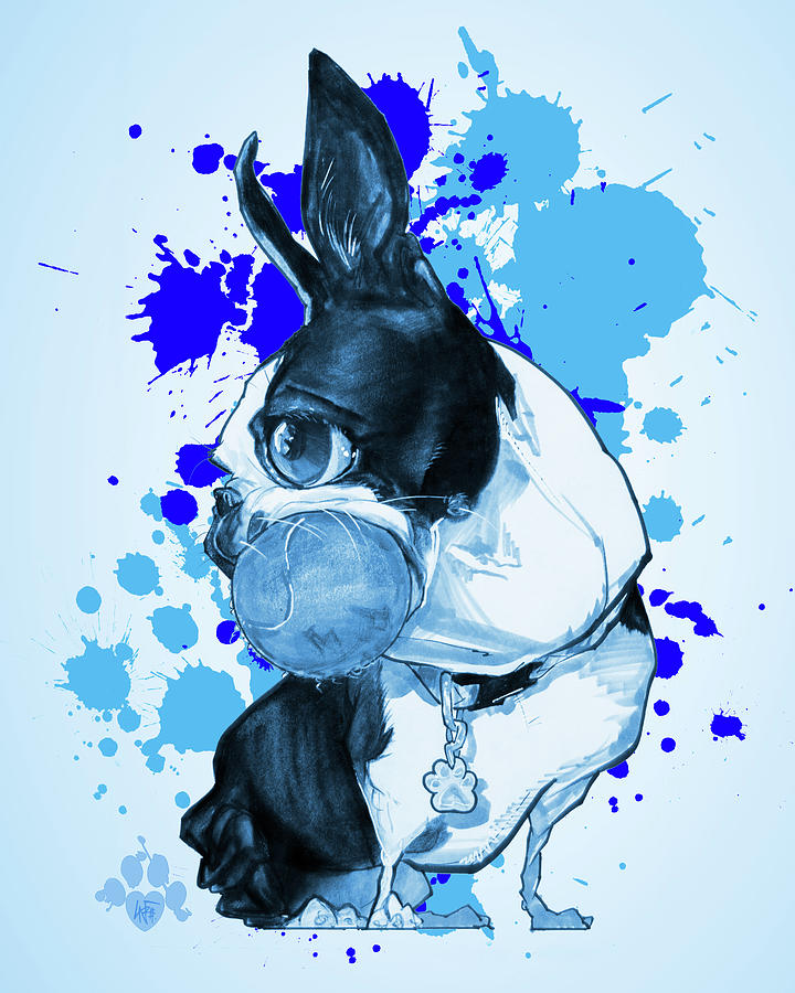 Boston Terrier - Blue Paint Splatter Drawing by Canine Caricatures By John LaFree